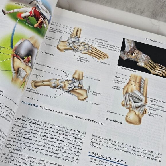 Anatomy & Physiology The Unity of Form & Function by Kenneth Saladin - Picture 4 of 12